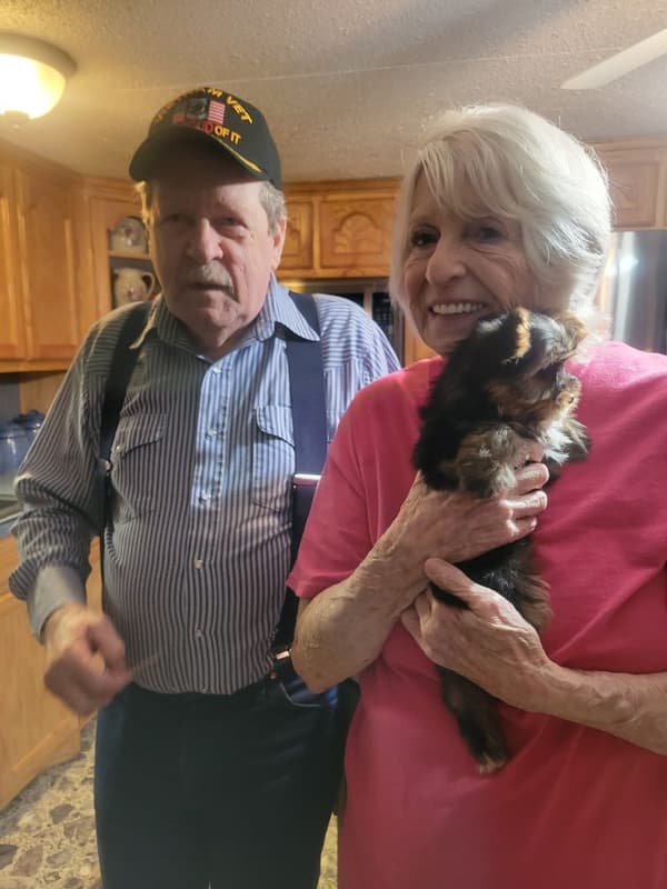 Customer photo of Yorkshire Terrier - Yorkie puppy from Sammy D.
