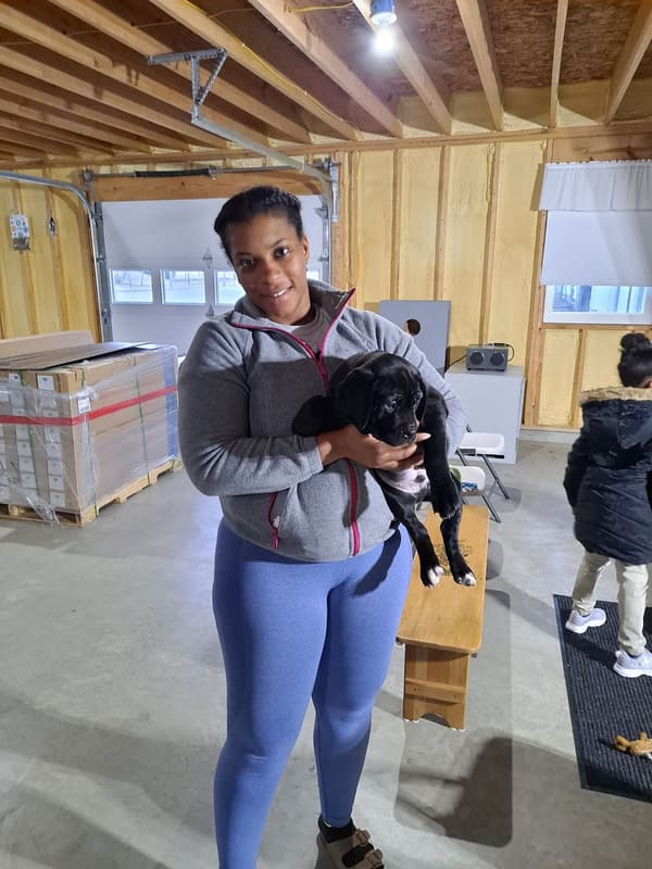 Customer photo of Cane Corso Mastiff puppy from Rashida H.