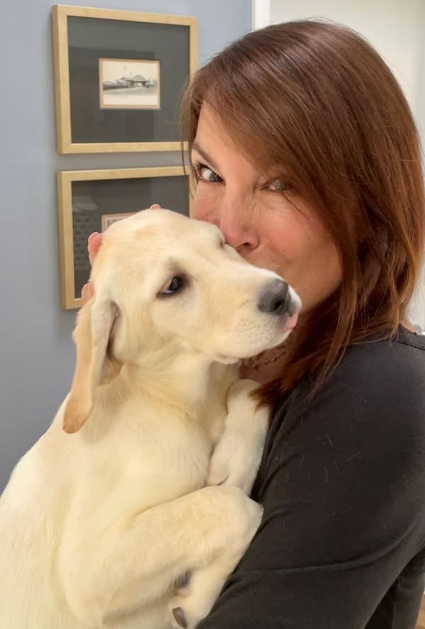 Customer photo of Labrador Retriever puppy from Dan S.