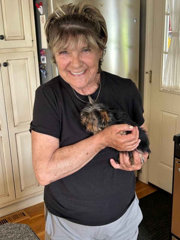 Customer photo of Yorkshire Terrier - Yorkie puppy from Karen D.