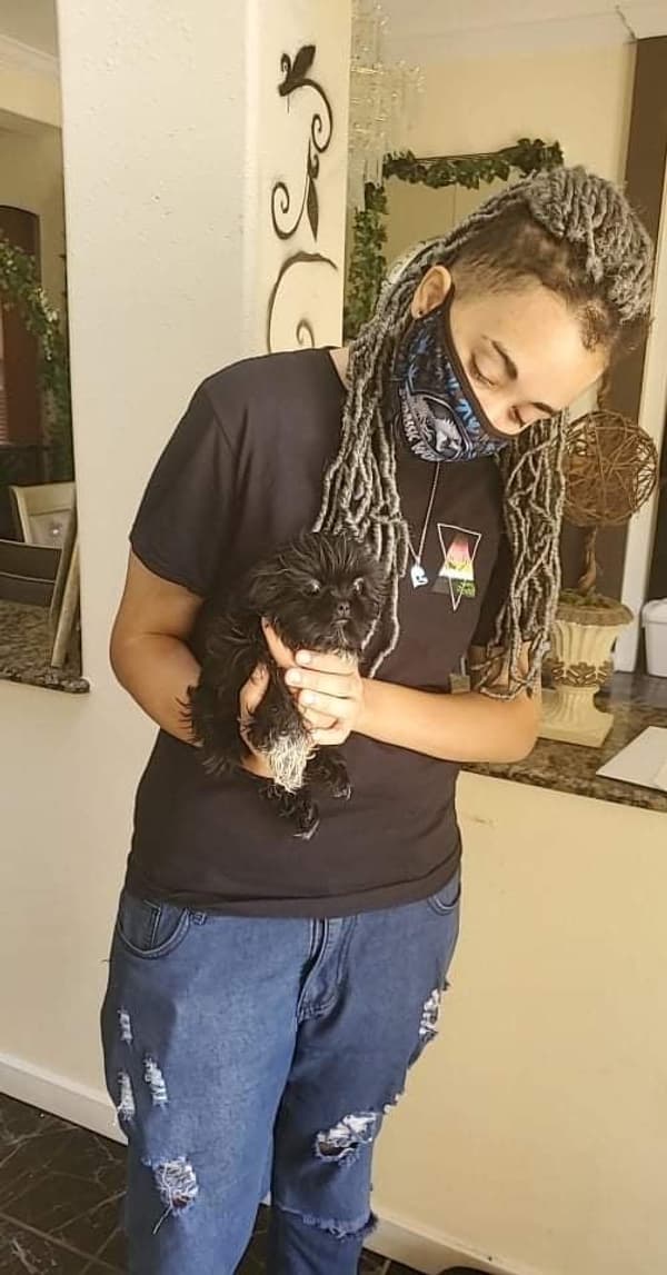 Customer photo of Shih Tzu puppy from James B. 