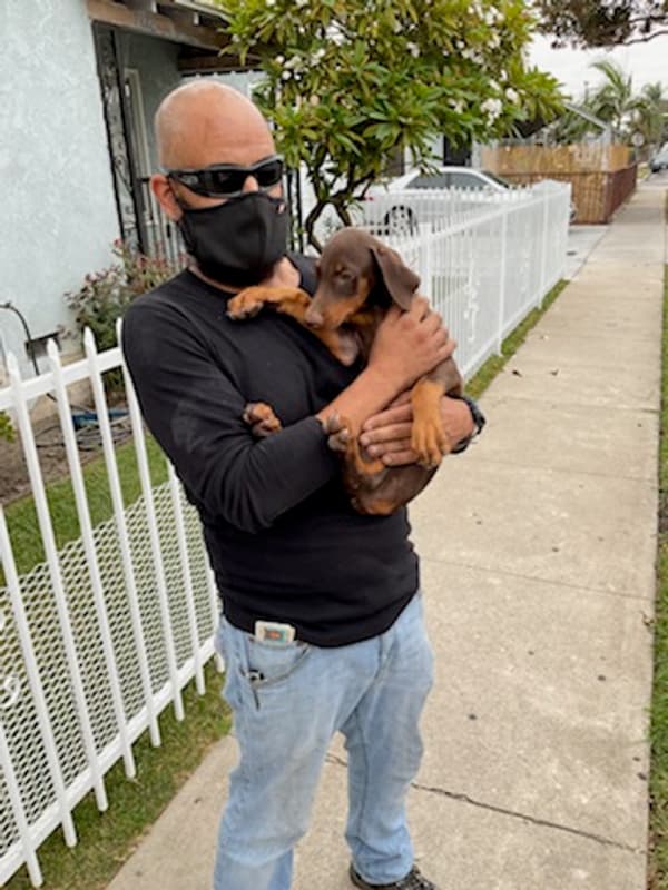 Customer photo of Morkie / Yorktese puppy from Charity B.