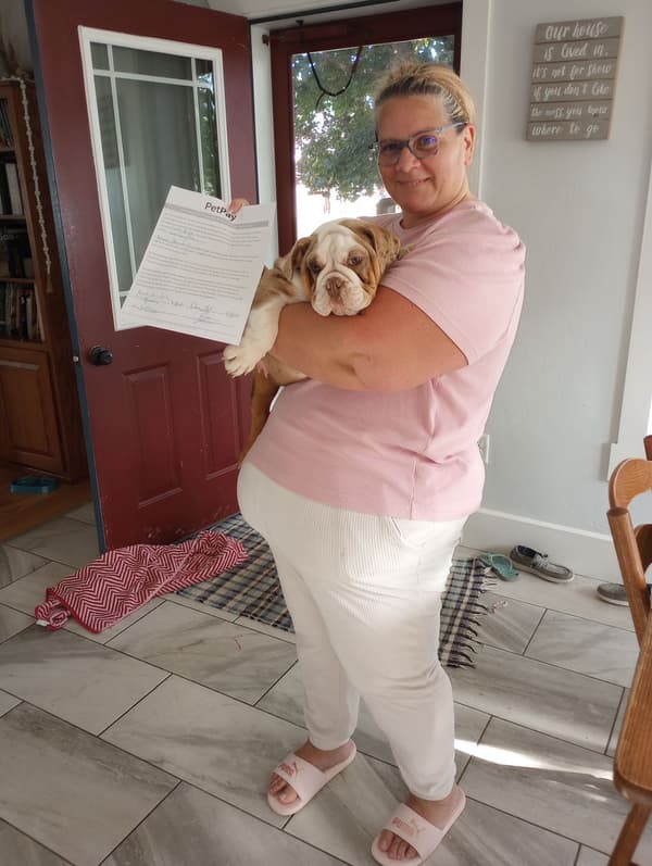 Customer photo of English Bulldog puppy from Richard B.