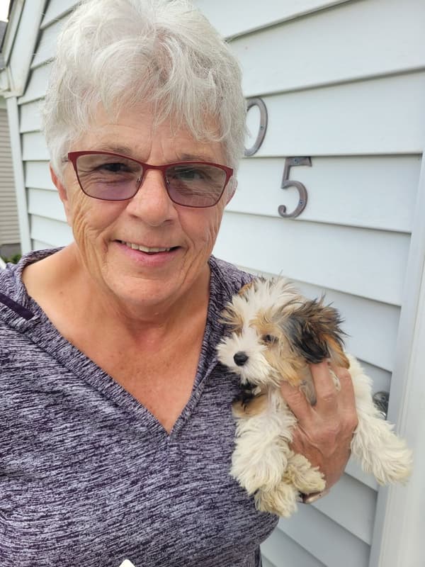 Customer photo of Yorkshire Terrier - Yorkie puppy from Barbara L.