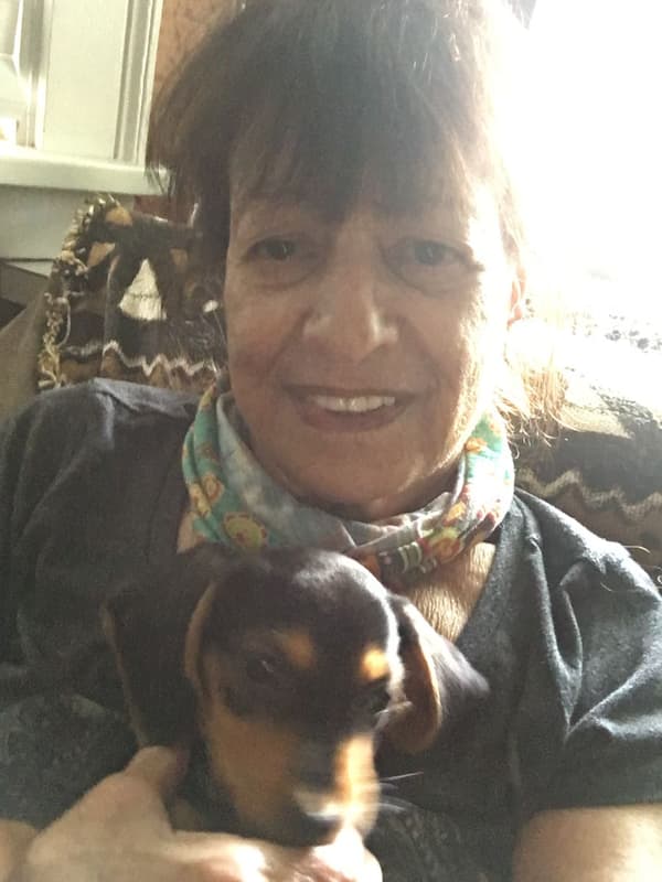 Customer photo of Doxle puppy from Shelley L.