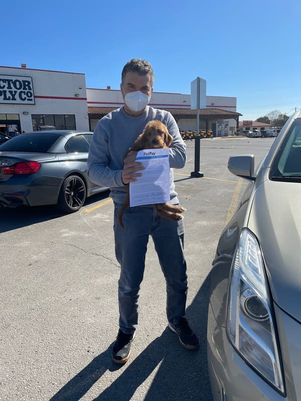 Customer photo of Labradoodle puppy from Gerard R.