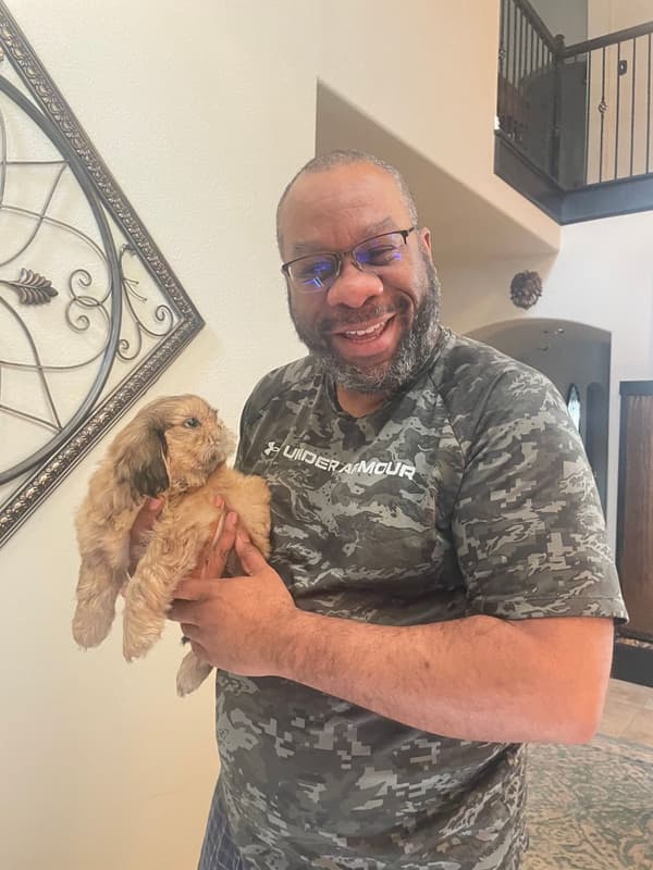 Customer photo of Shih Tzu puppy from Carl C.