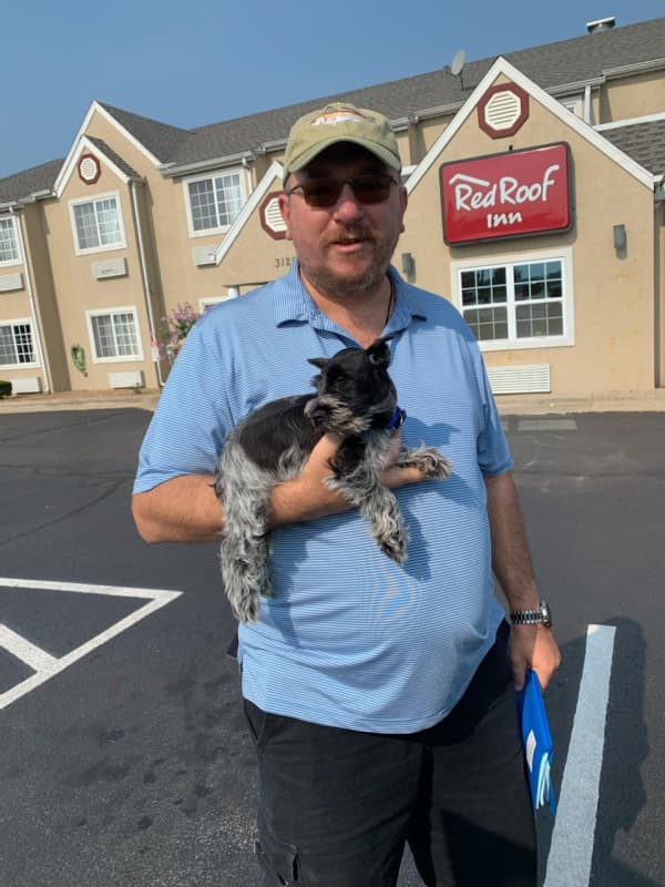 Customer photo of Schnauzer, Miniature puppy from Jason K. 