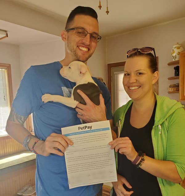 Customer photo of American Bully puppy from Jeremy H.