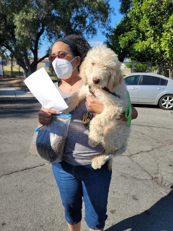 Customer photo of Labradoodle puppy from Danielle C.