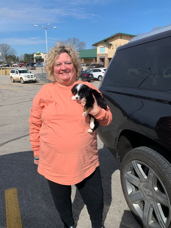 Customer photo of Australian Shepherd puppy from Gigi B.