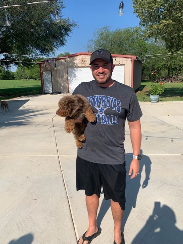 Customer photo of Bernedoodle, Mini puppy from Brian D.