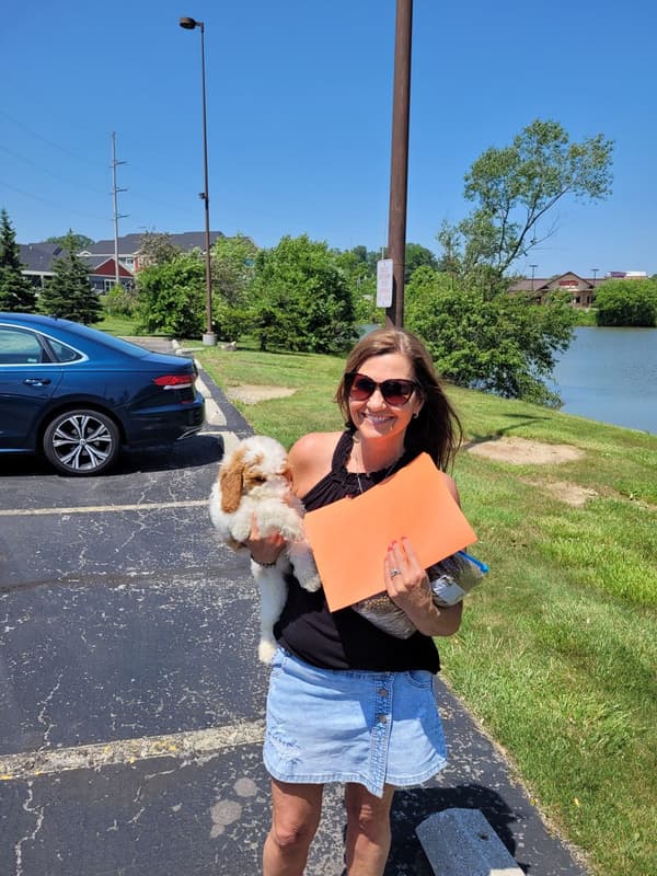 Customer photo of Goldendoodle, Mini puppy from Gina M.