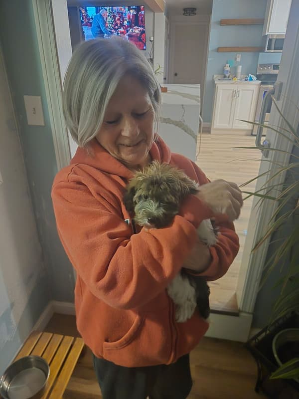 Customer photo of Havanese puppy from Denise M.