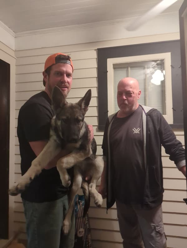 Customer photo of German Shepherd puppy from David K.