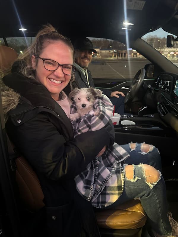 Customer photo of Chorkie puppy from Kelly H.