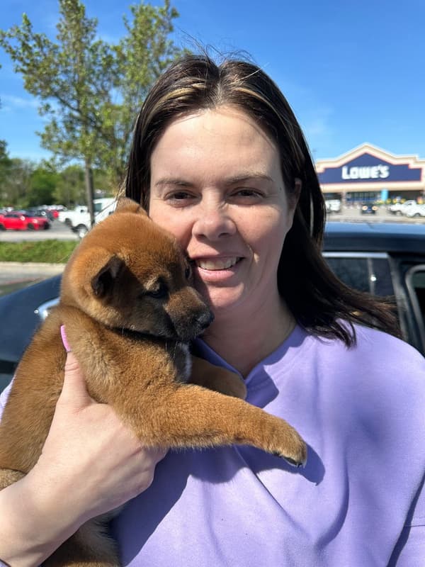 Customer photo of Shiba Inu puppy from Tara P. 