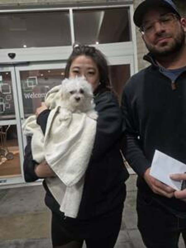Customer photo of Maltese puppy from Bradley S.