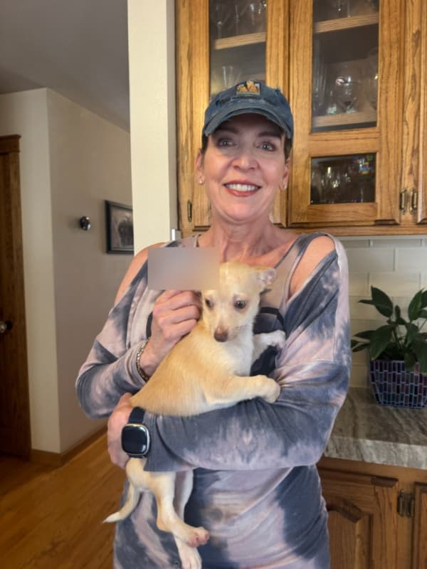 Customer photo of Chihuahua puppy from Michelle L.