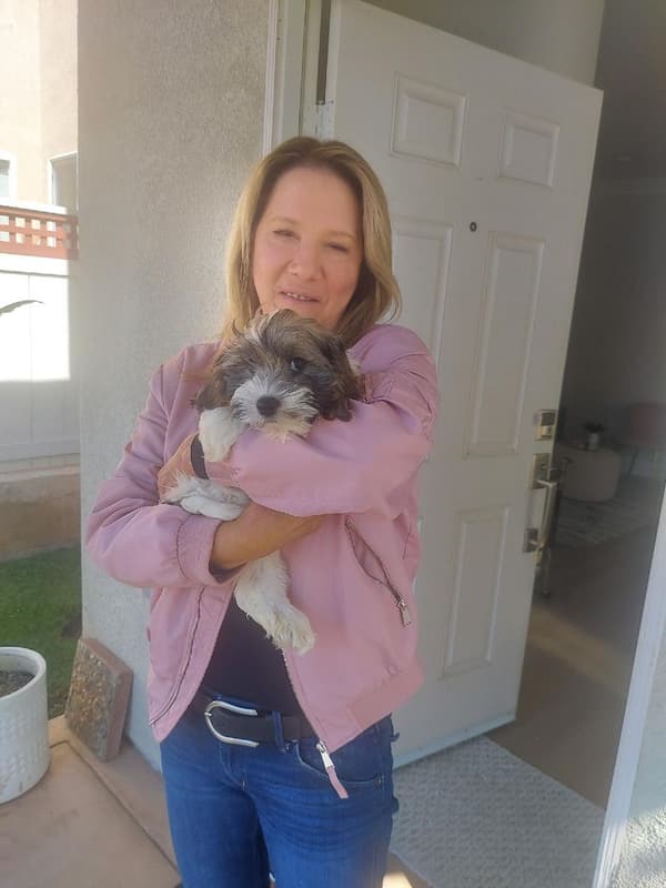 Customer photo of Cockachon puppy from Laura C.