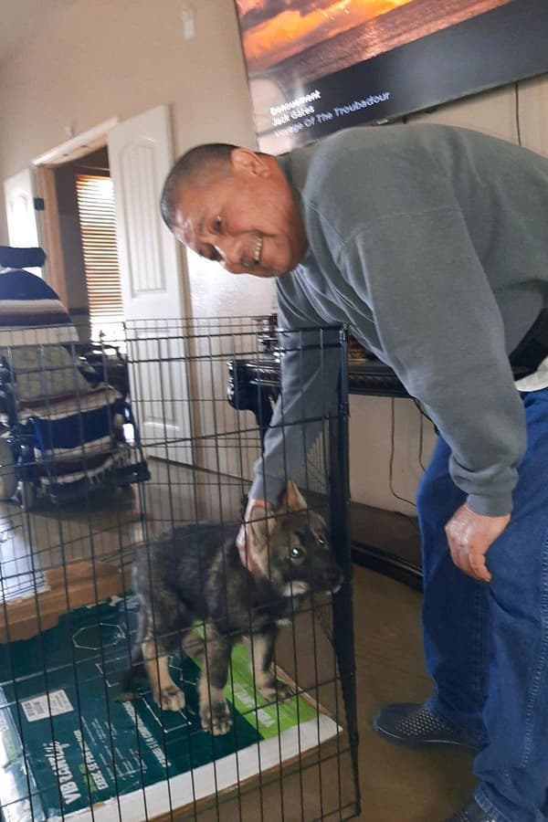 Customer photo of Wolf Hybrid puppy from Blanca M.