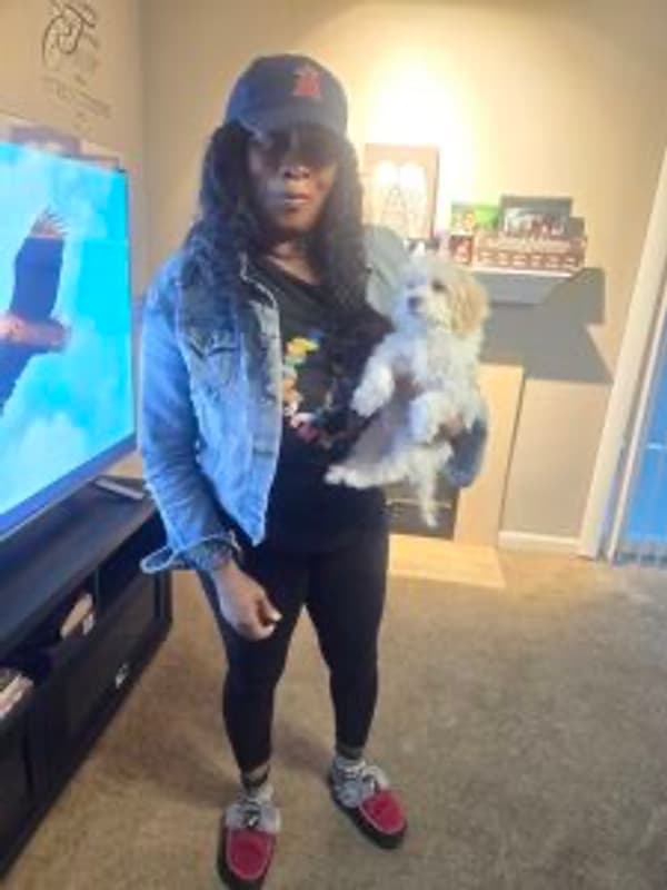 Customer photo of Havanese puppy from Traci B.
