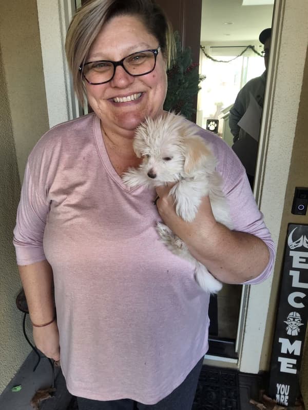 Customer photo of Malti Poo - Maltipoo puppy from Kim F.