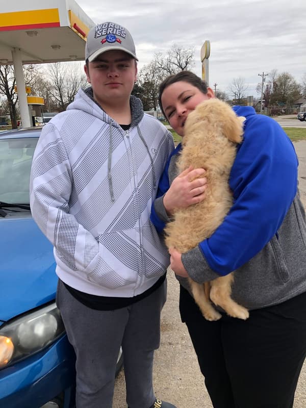 Customer photo of Goldendoodle puppy from Taryn S.