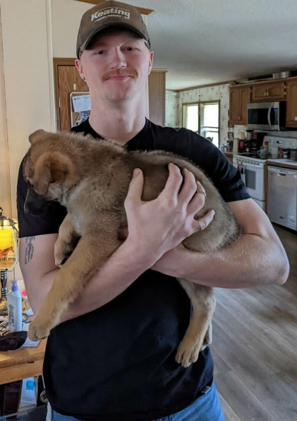 Customer photo of German Shepherd puppy from Cam M.