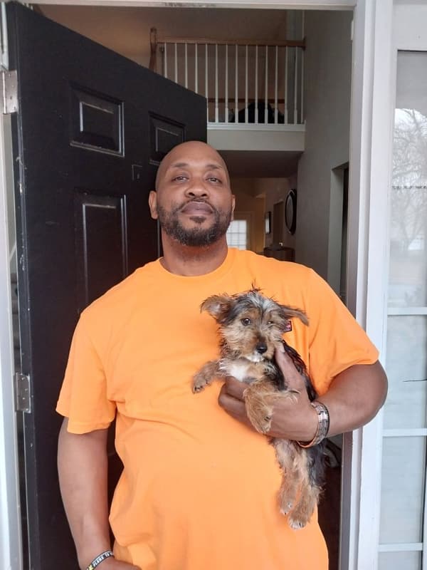 Customer photo of Yorkshire Terrier - Yorkie puppy from Timothy W.