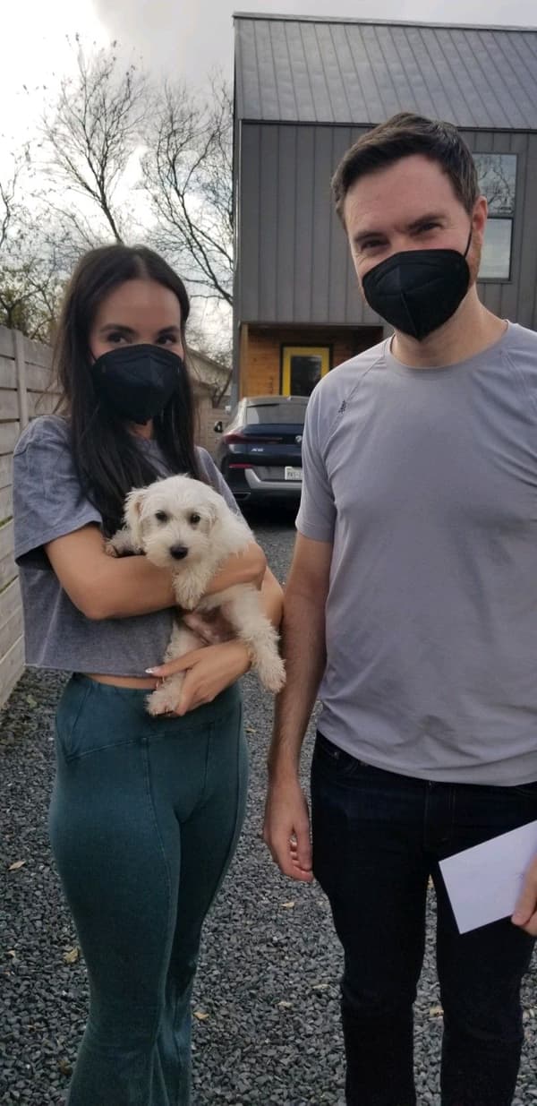 Customer photo of Schnoodle puppy from Ryan B.