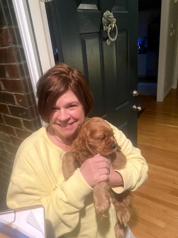 Customer photo of Cocker Spaniel puppy from Stephanie F.
