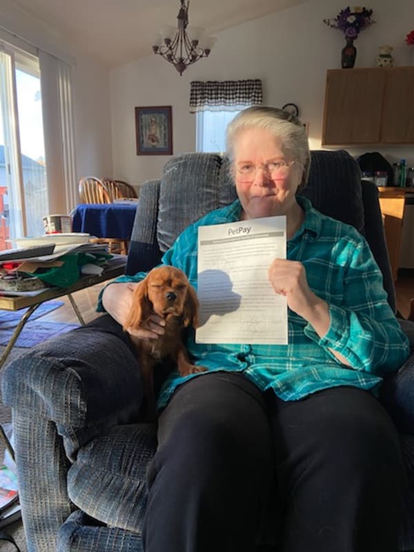 Customer photo of Cavalier King Charles Spaniel puppy from Linda E.