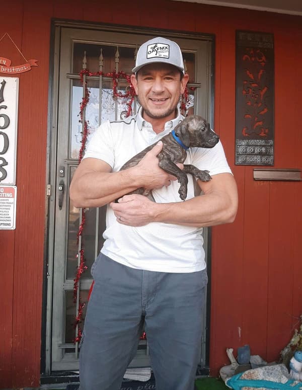 Customer photo of American Pit Bull Terrier puppy from Josh J.