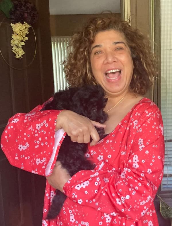 Customer photo of Goldendoodle, Mini puppy from Rita A.