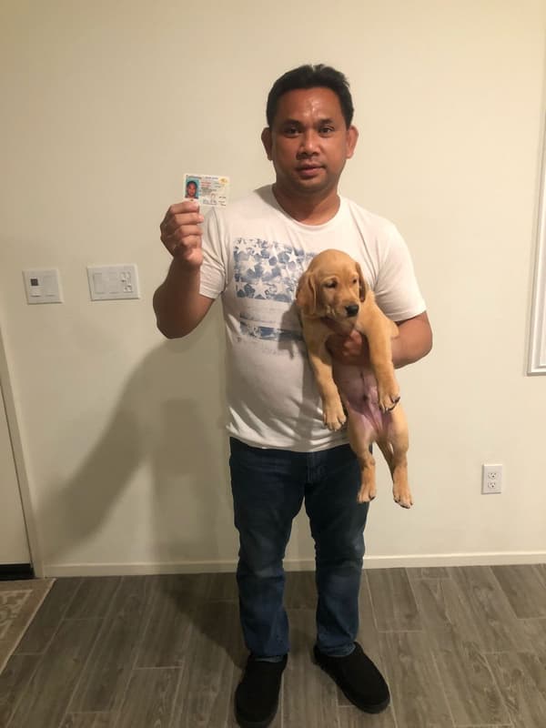 Customer photo of Labrador Retriever puppy from Frederick M.