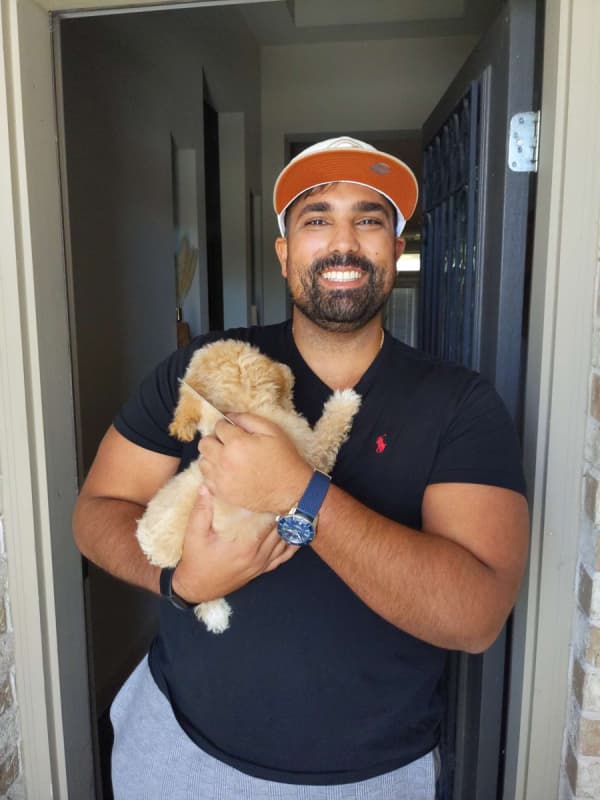 Customer photo of Bich-Poo - Bichpoo puppy from Qaashif P.