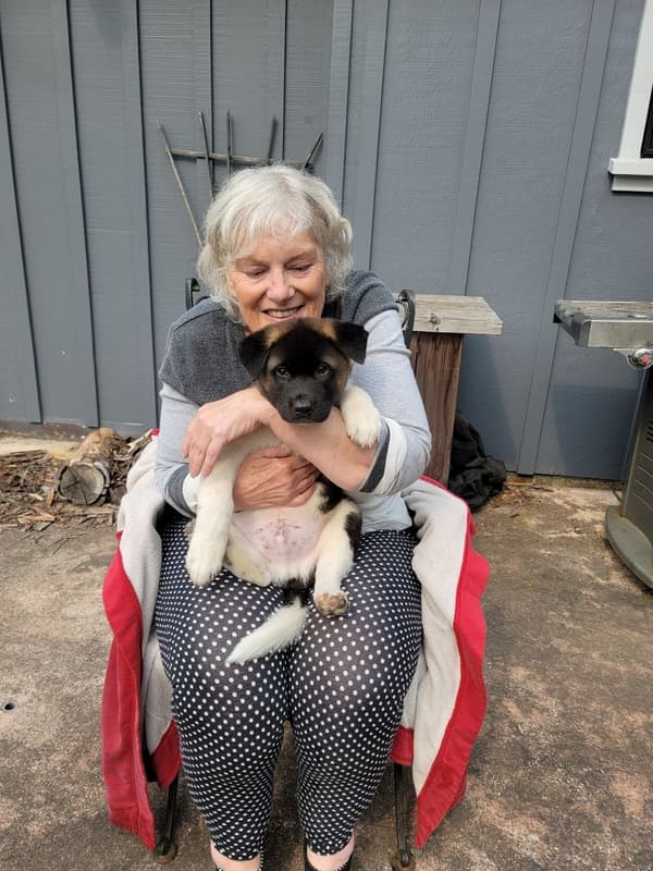 Customer photo of Akita puppy from Donna N.