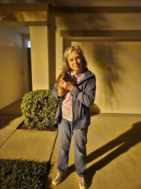 Customer photo of Dachshund, Mini puppy from Lauren M.
