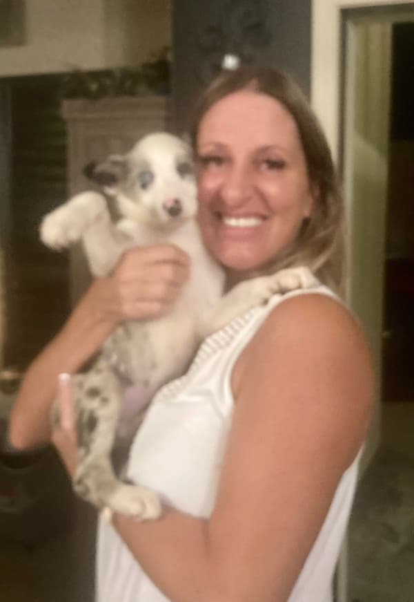Customer photo of Border Collie puppy from Michele M.