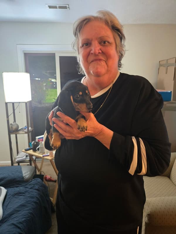 Customer photo of Dachshund, Mini puppy from Cheryl R.