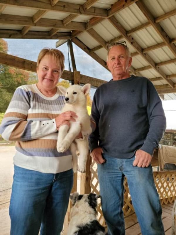 Customer photo of German Shepherd puppy from Bev M.