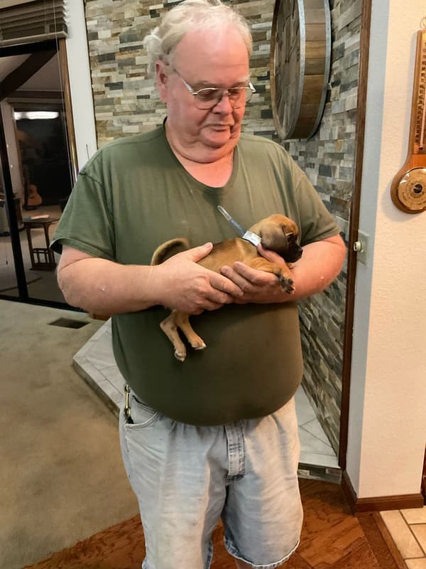 Customer photo of Puggle puppy from Curtis B.