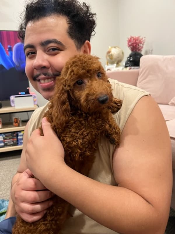 Customer photo of Poodle, Toy puppy from Emanuel C.