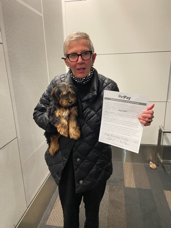 Customer photo of Yorkshire Terrier - Yorkie puppy from Eleanor C.