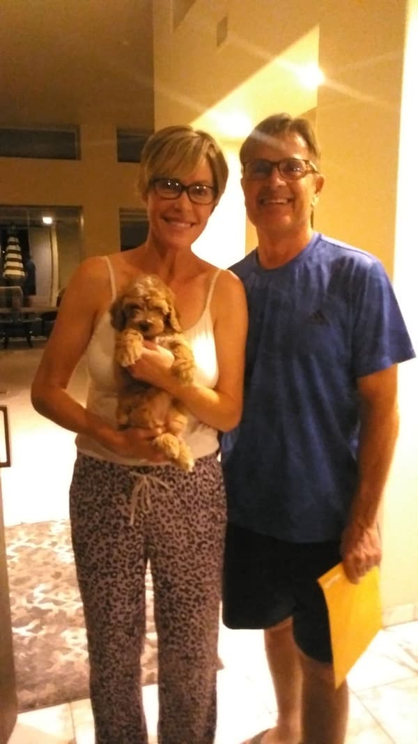 Customer photo of Cockapoo puppy from Heather K.