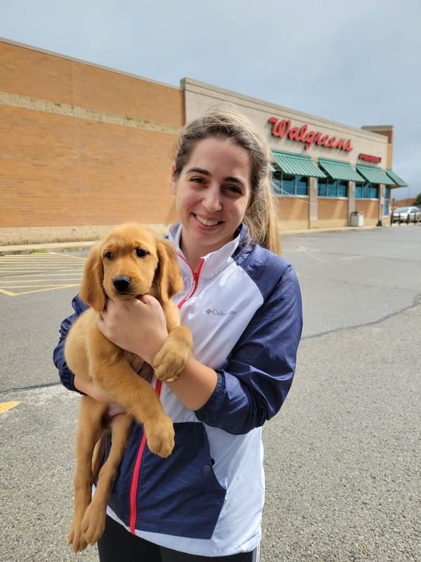 Customer photo of Golden Retriever puppy from Marissa N.