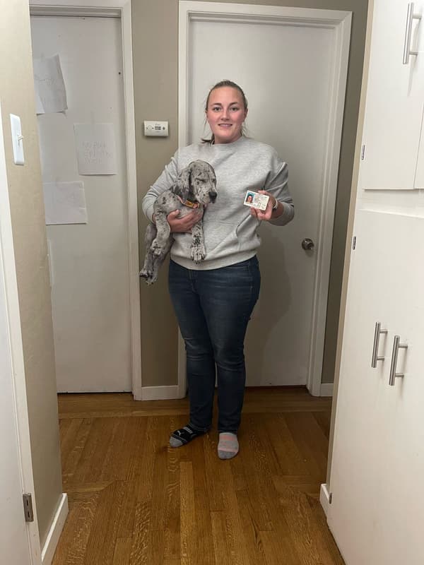 Customer photo of Great Dane puppy from Kim R.