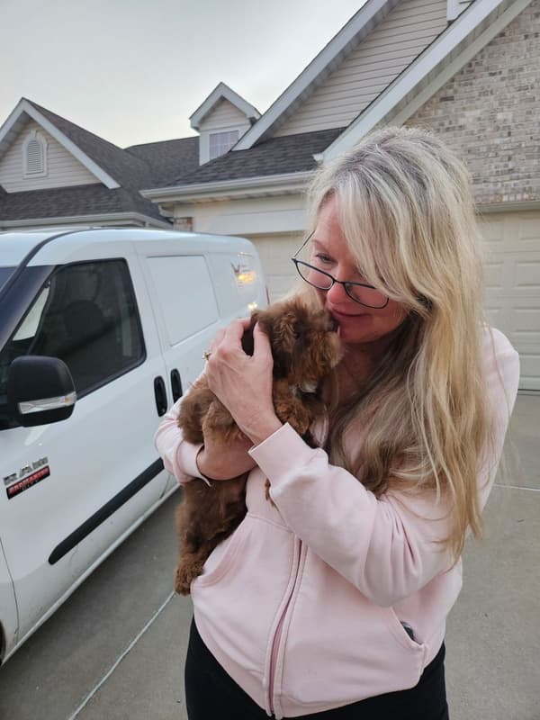 Customer photo of Havapoo puppy from Mark W.