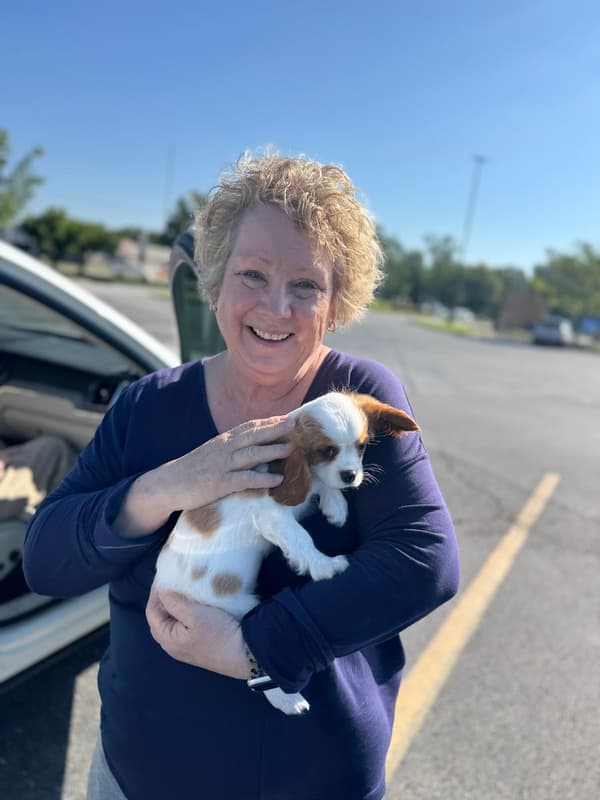 Customer photo of Cavalier King Charles Spaniel puppy from Cynthia S.